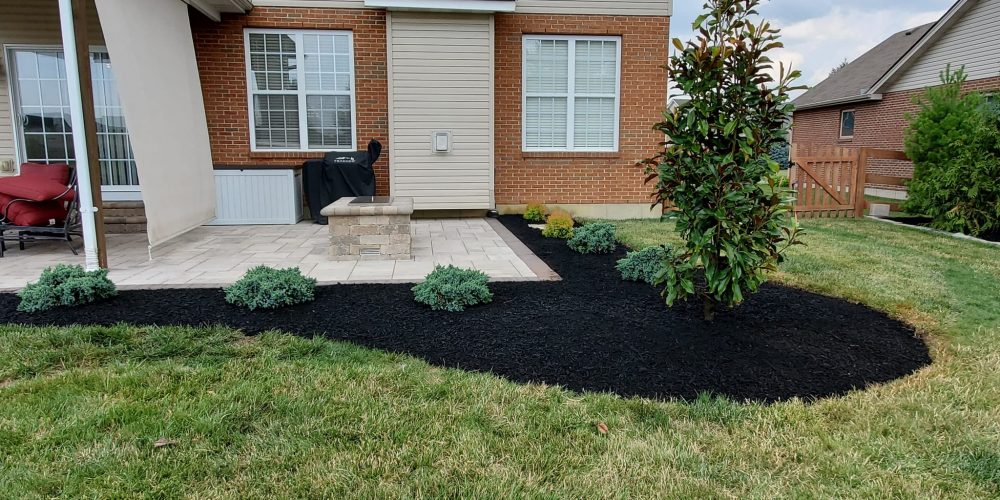 357443733_741700724427765_4729777840542037638_n