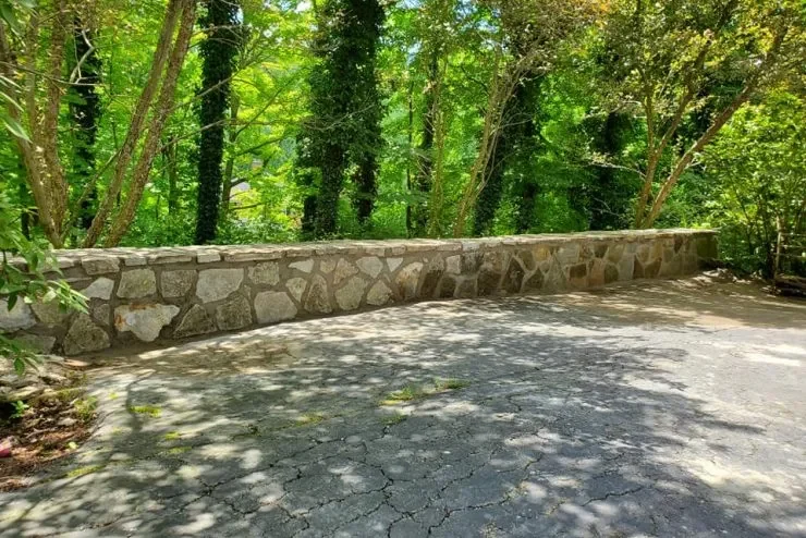 Cincinnati_Landscapedesigner_landscapeconsultation_LeonsLandscaping.webp (6)