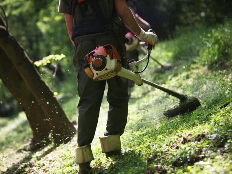 Worker trimming grass and vegetation on a wooded slope
